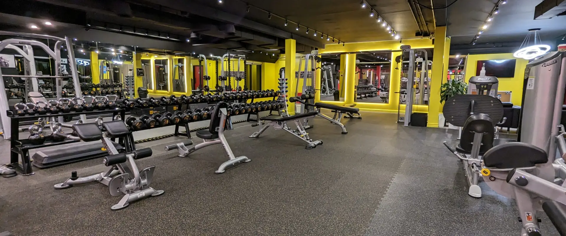 Cowboy Fitness North York