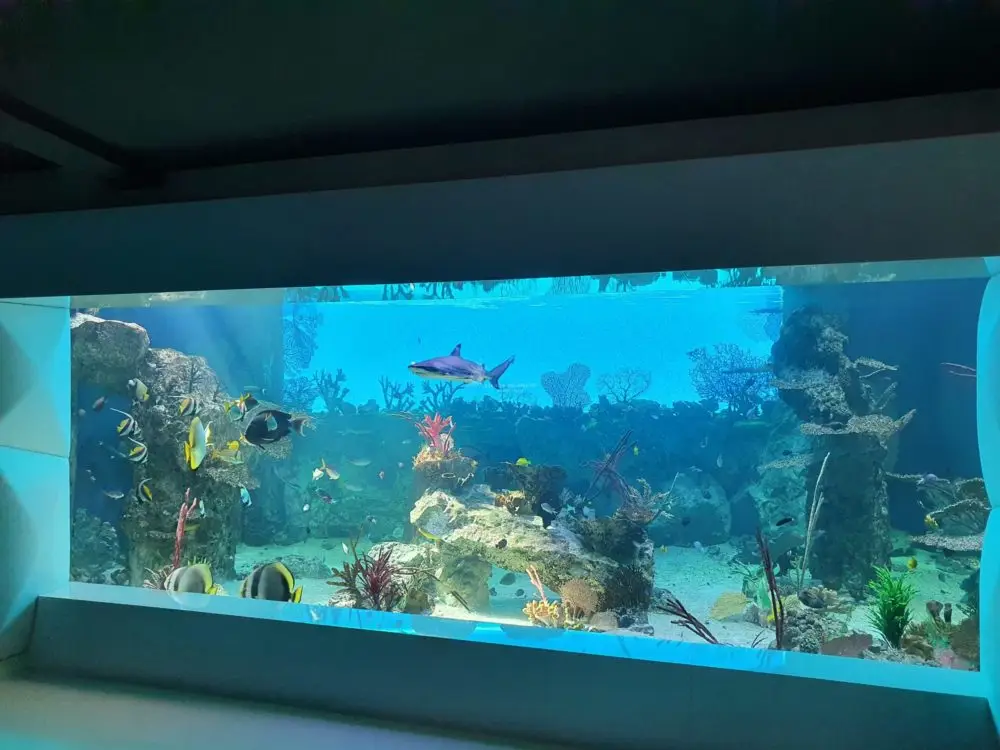 Scandia Aquariums