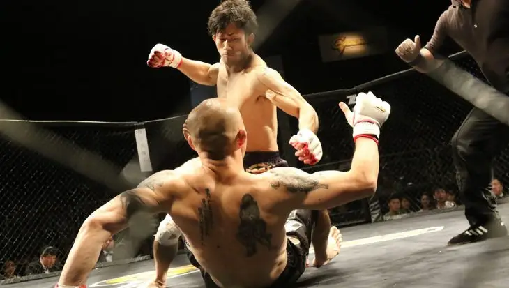MMA La bouilladisse Peypin