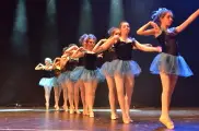 The Dance Bank