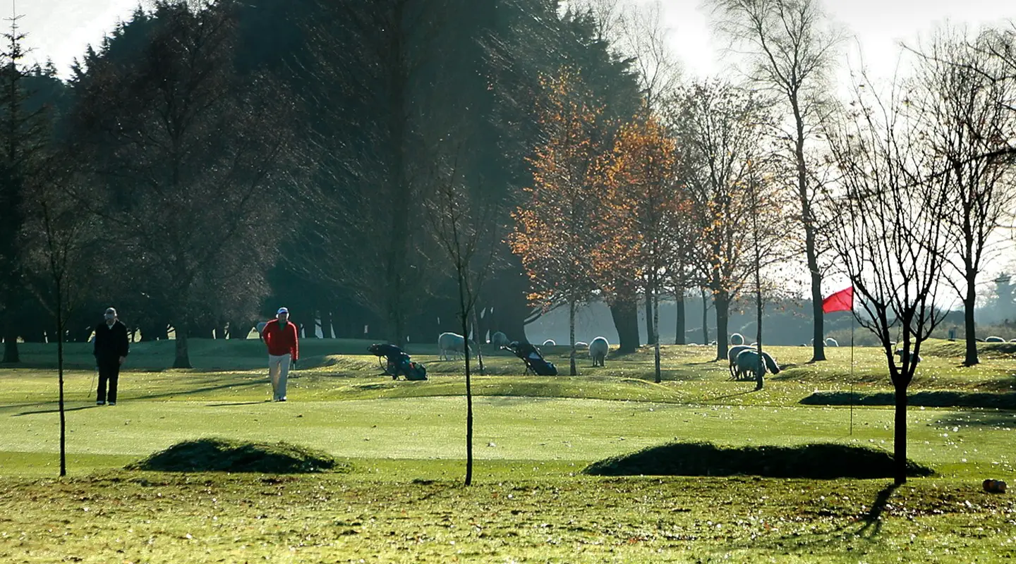 Cill Dara Golf Club