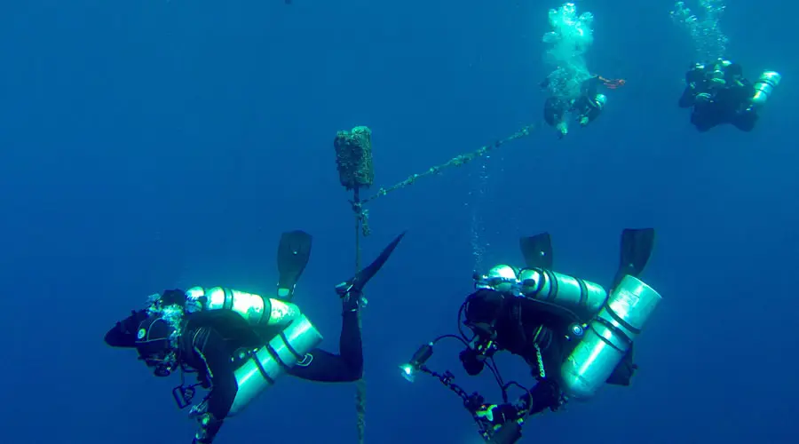 Sydney Dive Charters