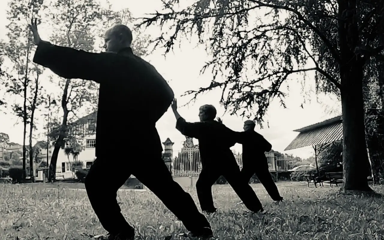 Association Le Souffle Des Bambous, Qi Gong And Tai Chi En Pays D'hasparren