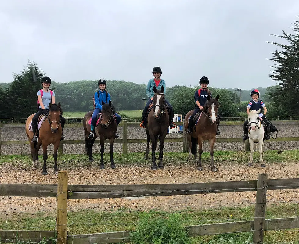 Trotters Riding School & Livery Yard