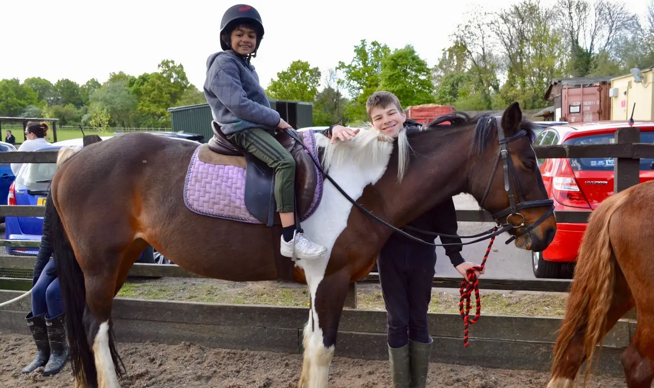 The Stables Horse Activity Centre