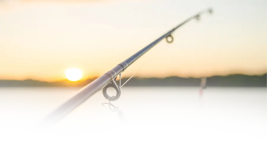 Gone Fishing Tours