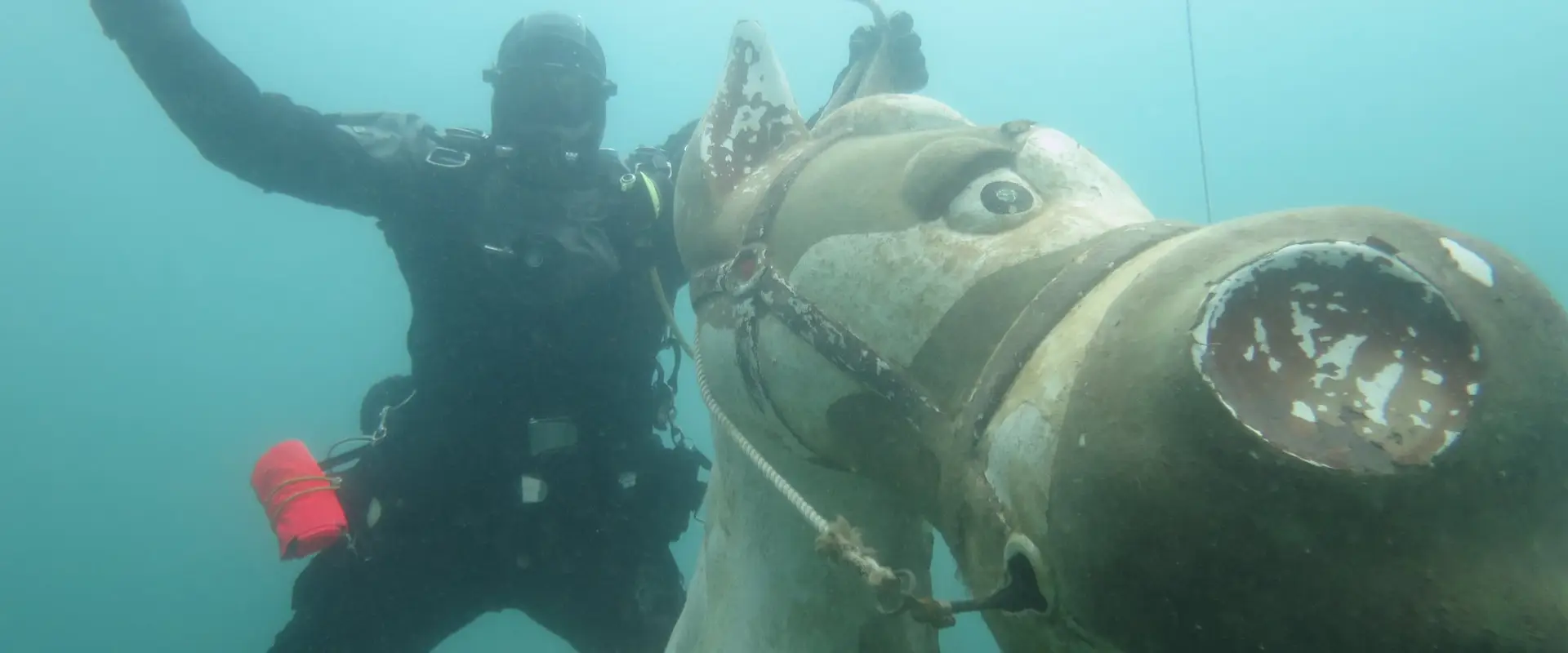 Sheffield Scuba