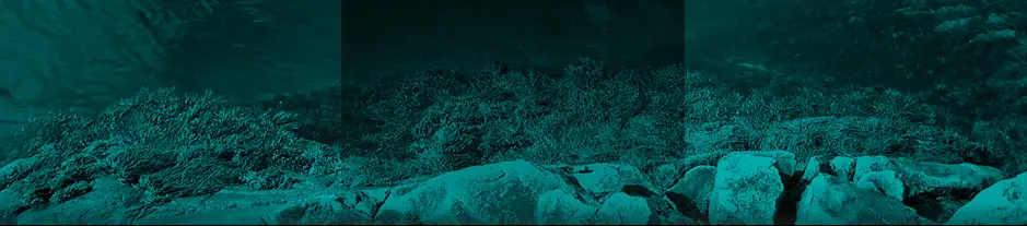 DIVETECK