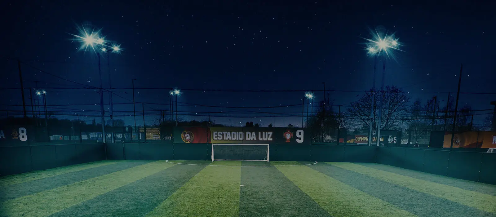 Goals Stoke