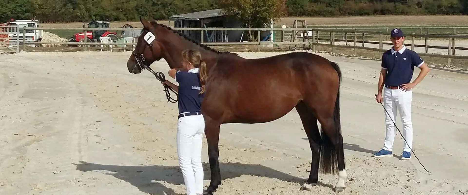 ECURIE DU DESIR