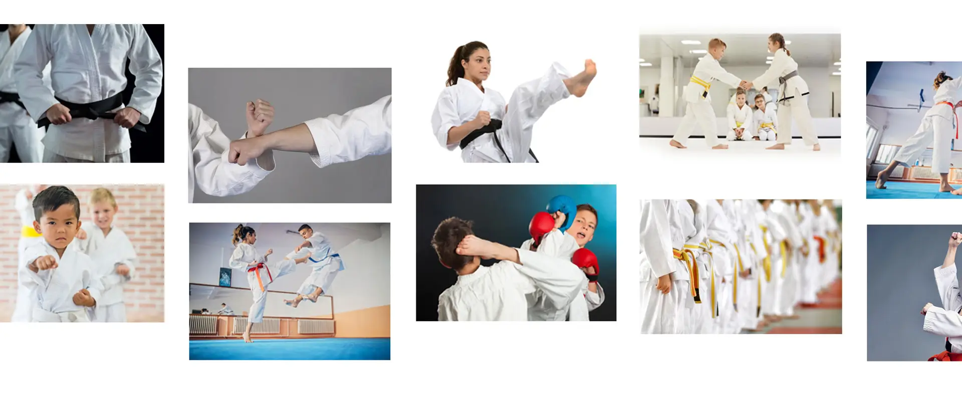 Karate Lessons by Sabu