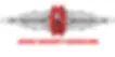 Rapid Arnis International (ES Pro Martial Arts Studio)