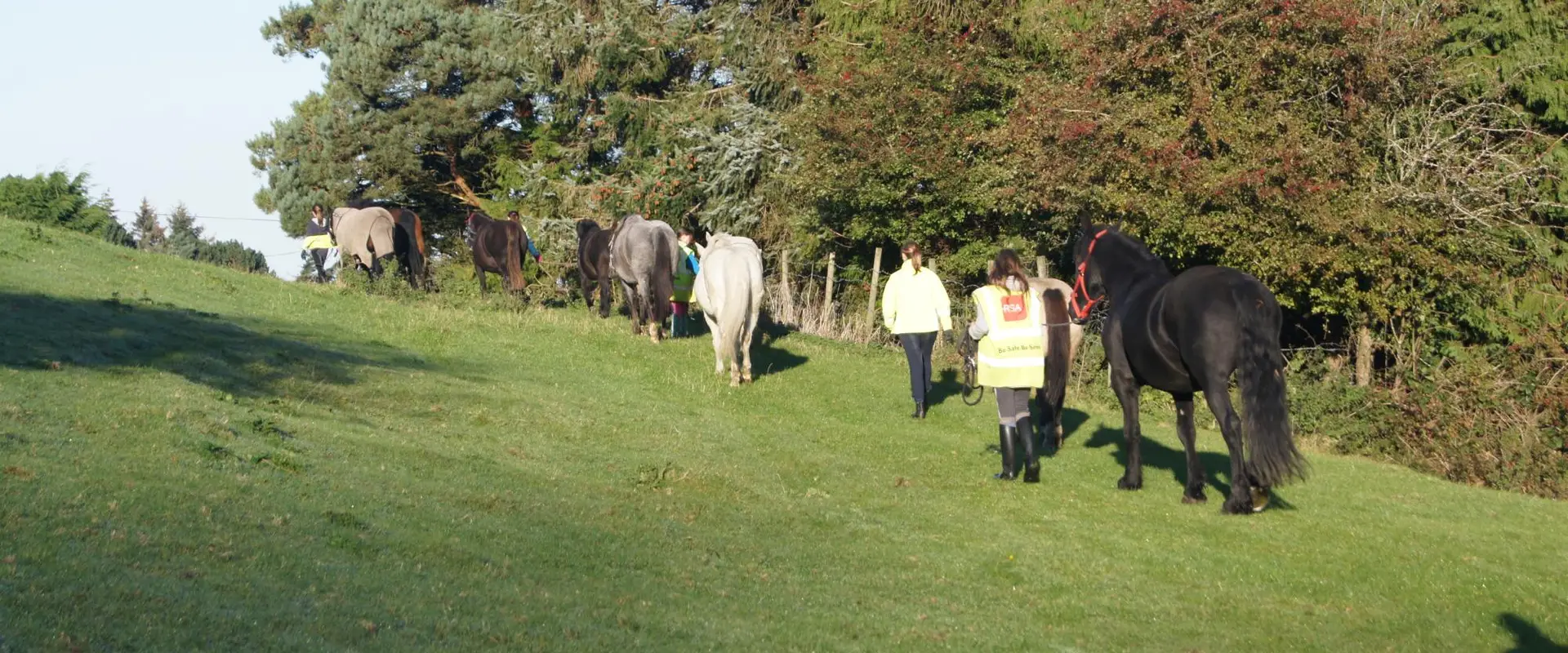 Kellystown Equestrian Centre
