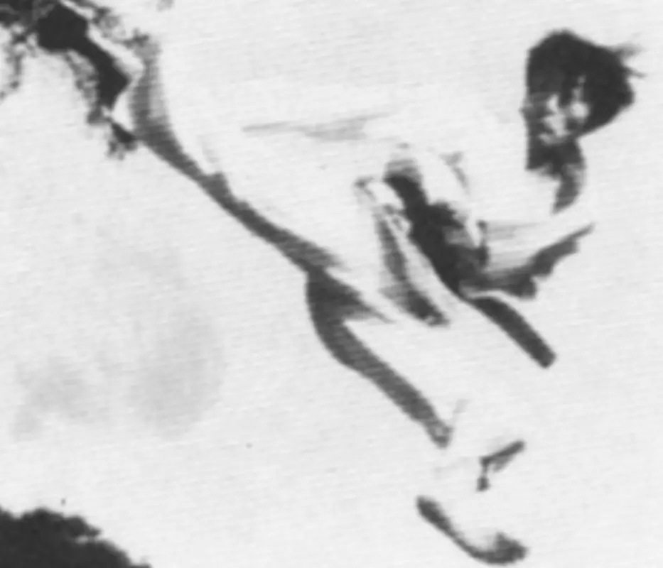 Rhee Taekwondo - Caringbah Branch