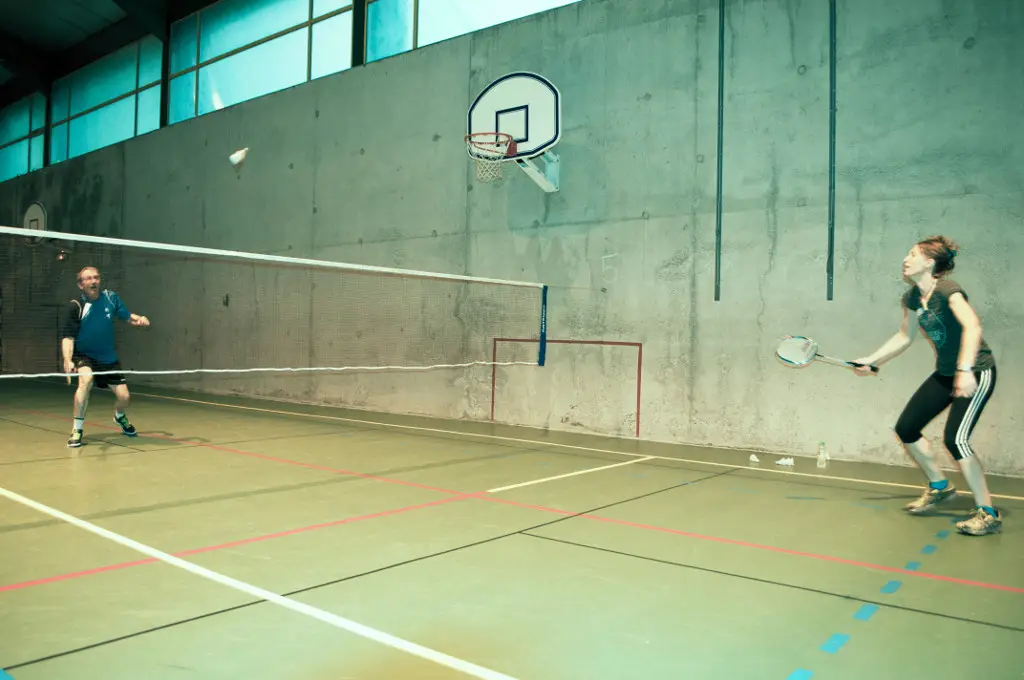 Vallée-Verte Badminton (Boëge)