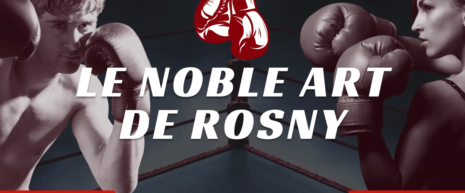 Le Noble Art de Rosny