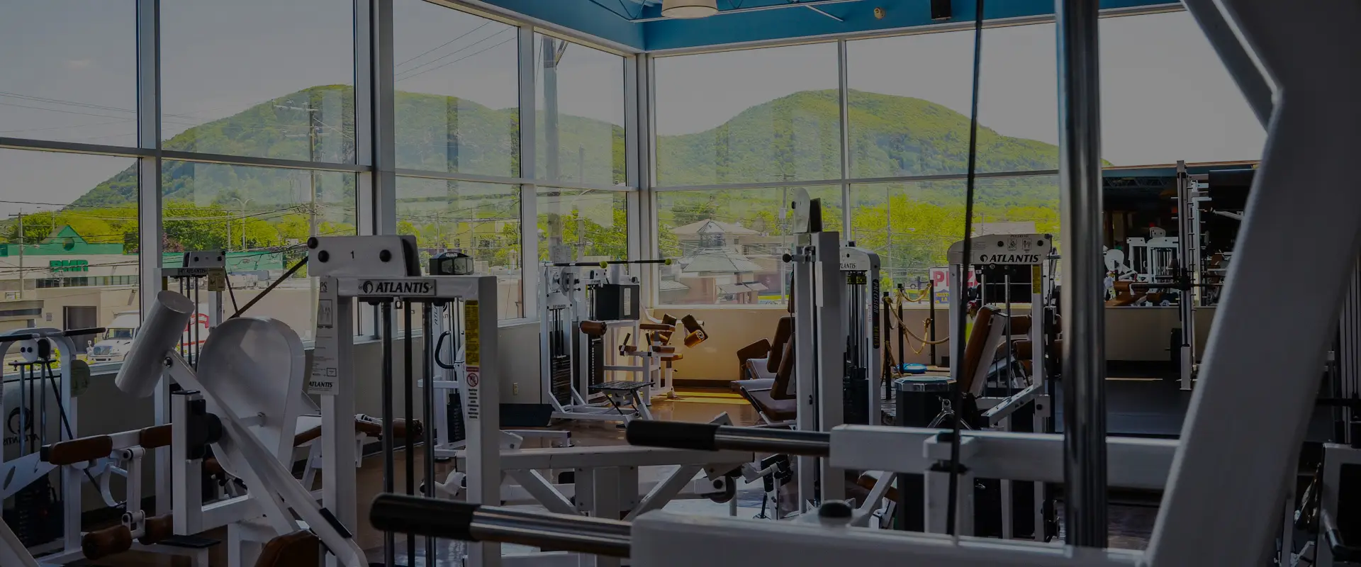 Optimum Health Inc.