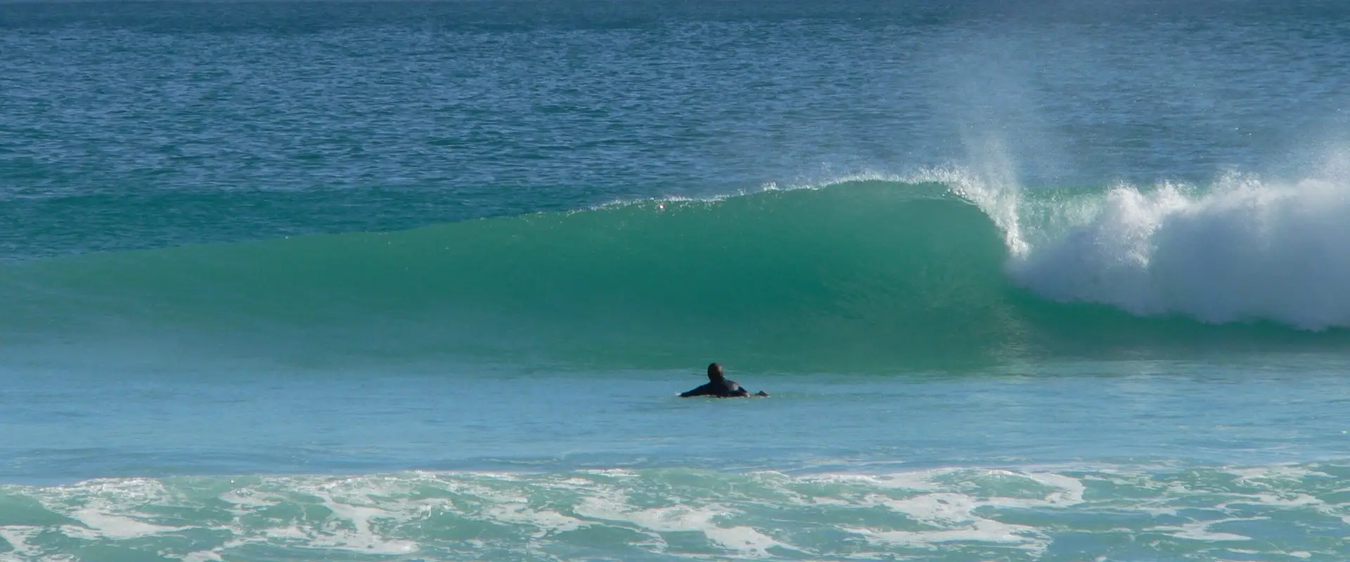 Gone Surfin Surf School