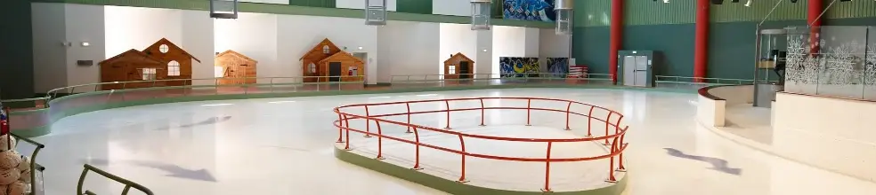 ACPG Cholet (Association Choletaise de Patinage sur Glace)