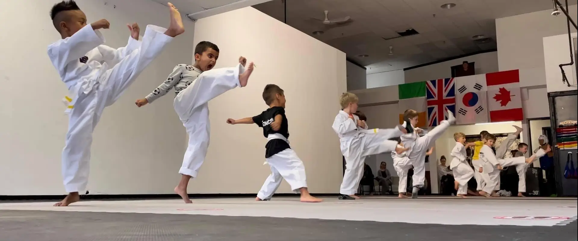 Sarnia Olympic Taekwondo