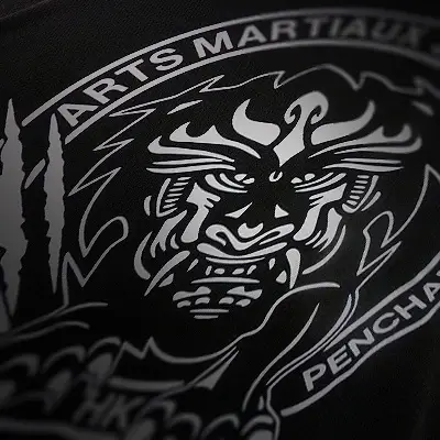 Les Arts Martiaux Sury 42