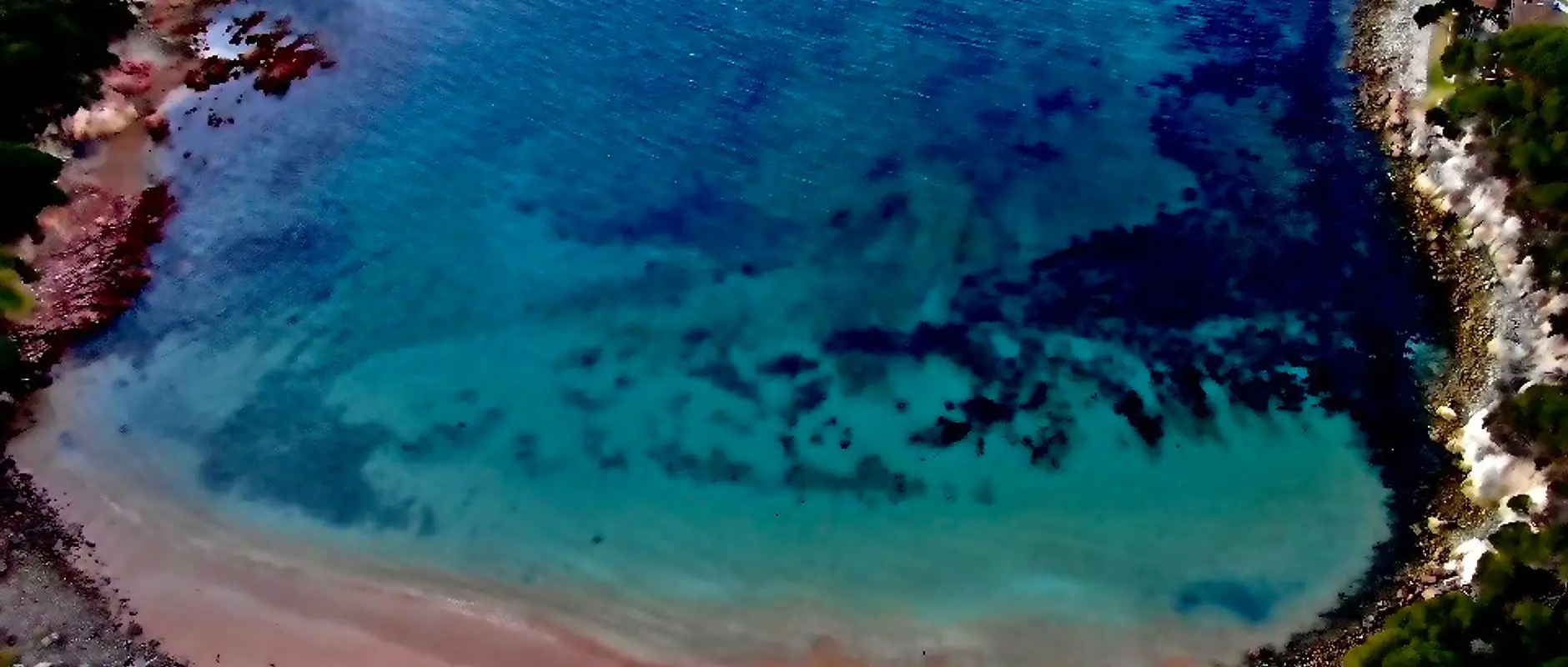 Sapphire Coast Scuba