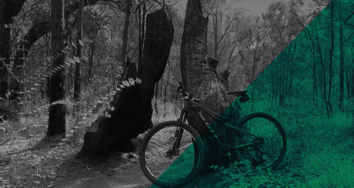 Kalamunda Mountain Bike Park