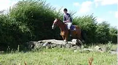 Manston Riding Centre
