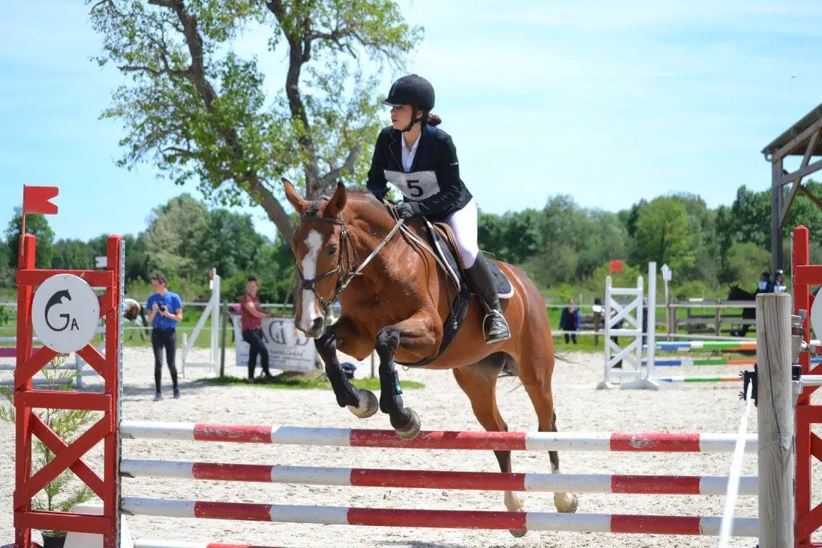 Center Equestrian Of Stalls Du Ga