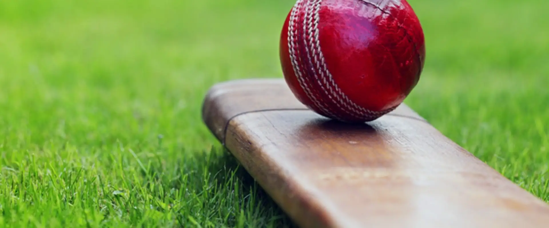 Calgary & District Cricket League