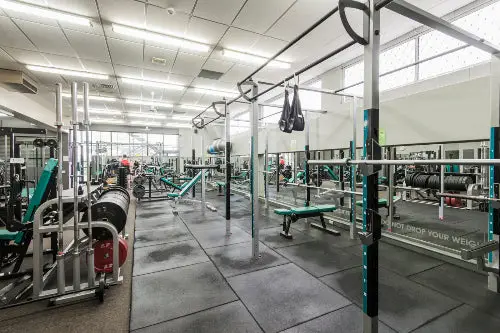 JustWorkout Forrest Hill 24HR Gym