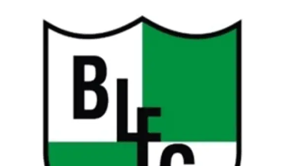 Blackfield and Langley Football Club