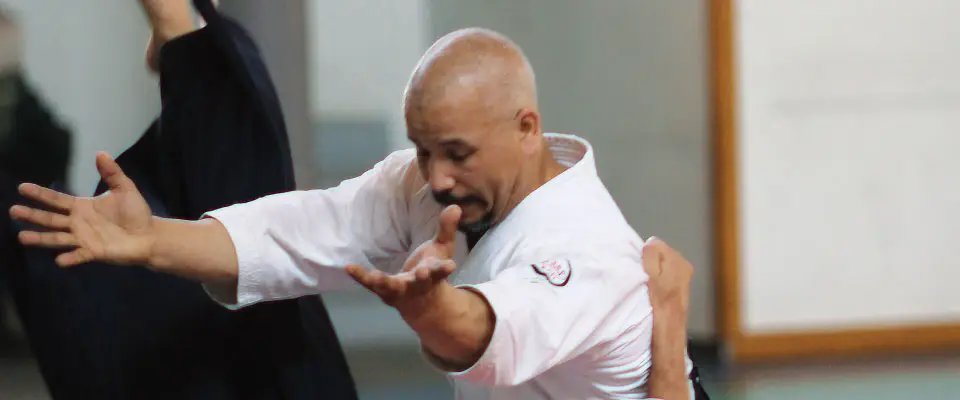 Ecole De Budo - Raji