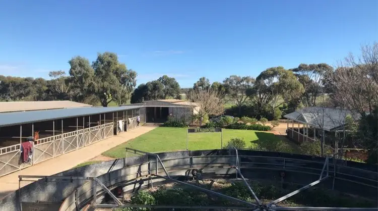 Nikkita Lodge