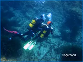 Agathonis Plongee
