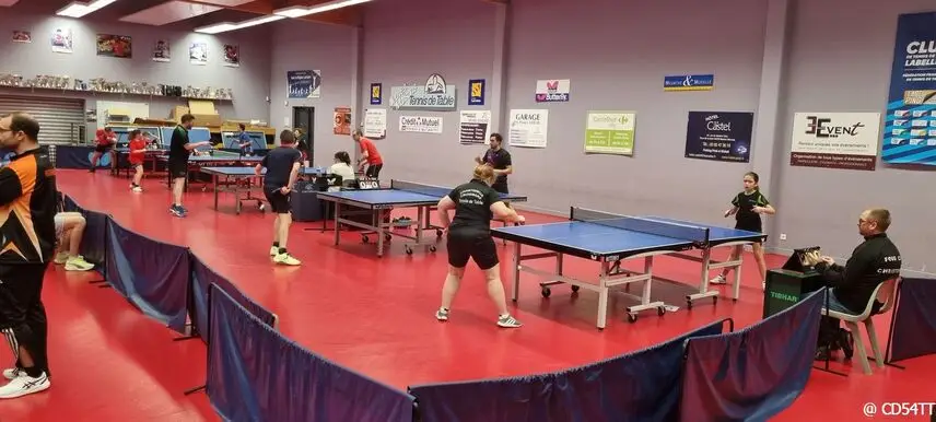 CD54 Tennis de Table