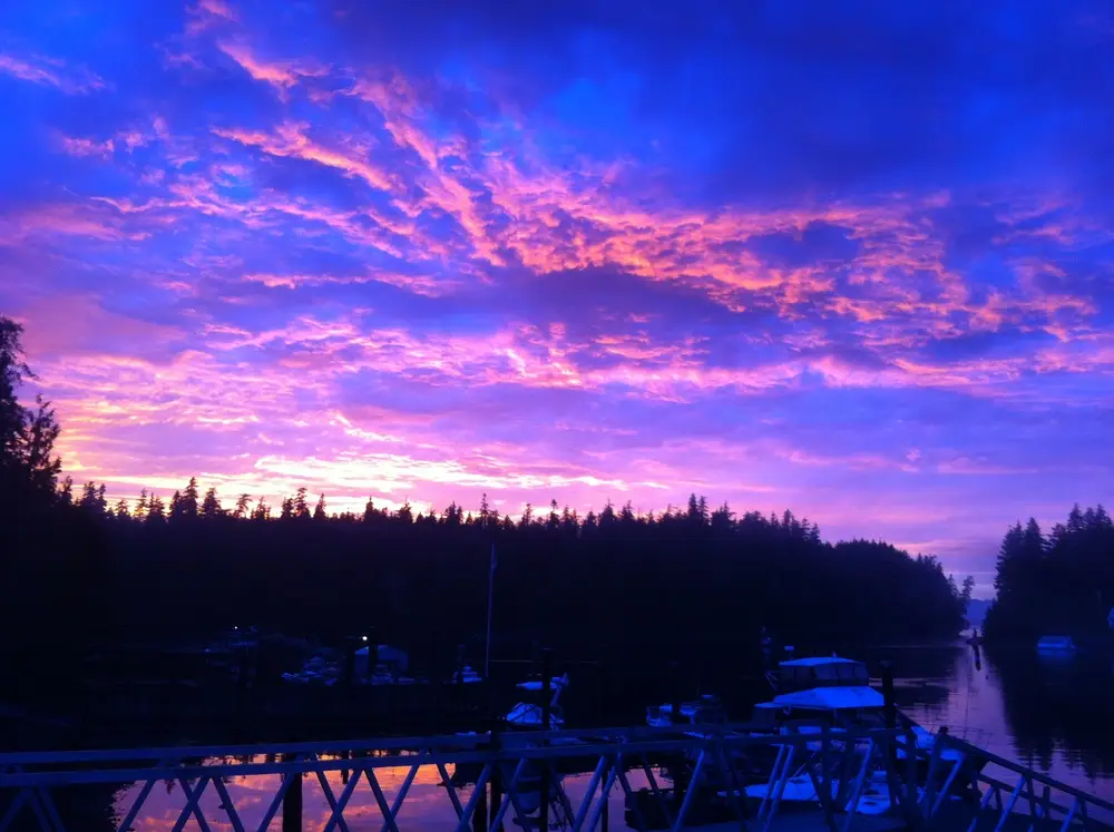 Bamfield Fishing Charters