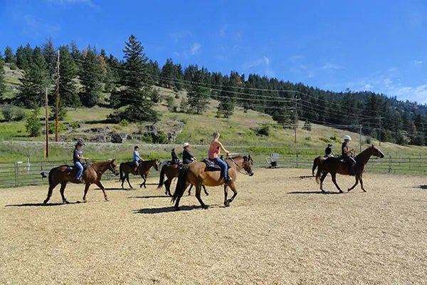 Okanagan Stables