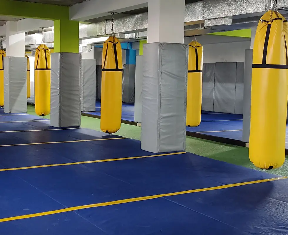 Rebel Jiu Jitsu & MMA