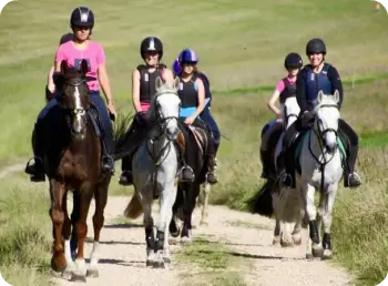Mayfield Stables