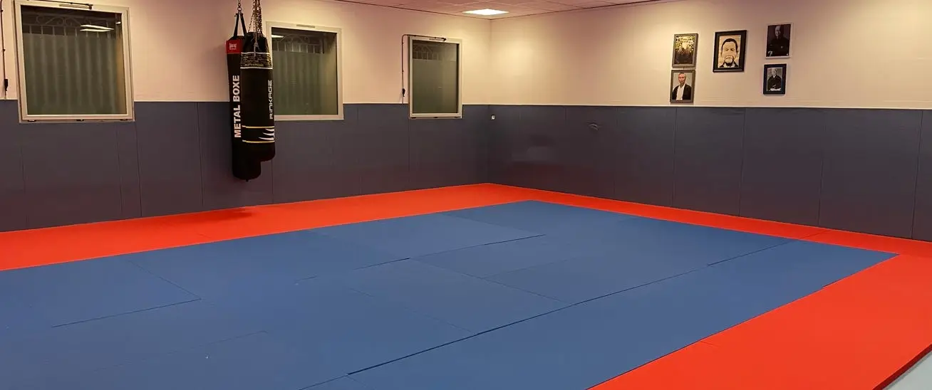Aikido Club Sanaryen