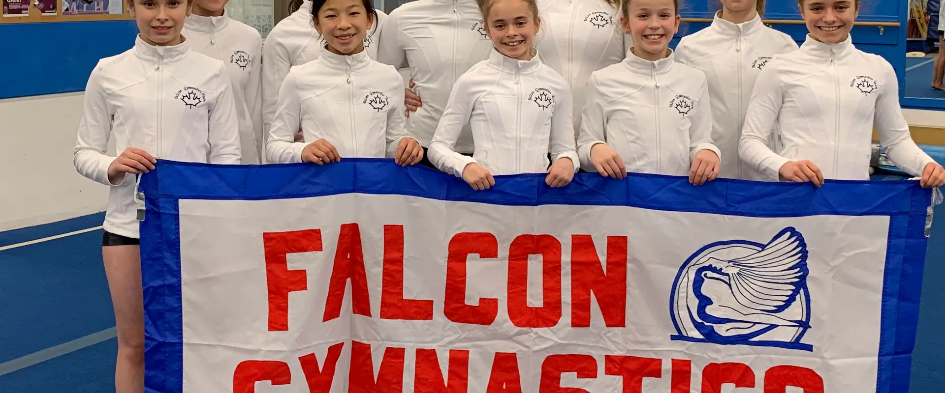 Falcon Gymnastics