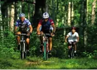 Bike Fit Physio