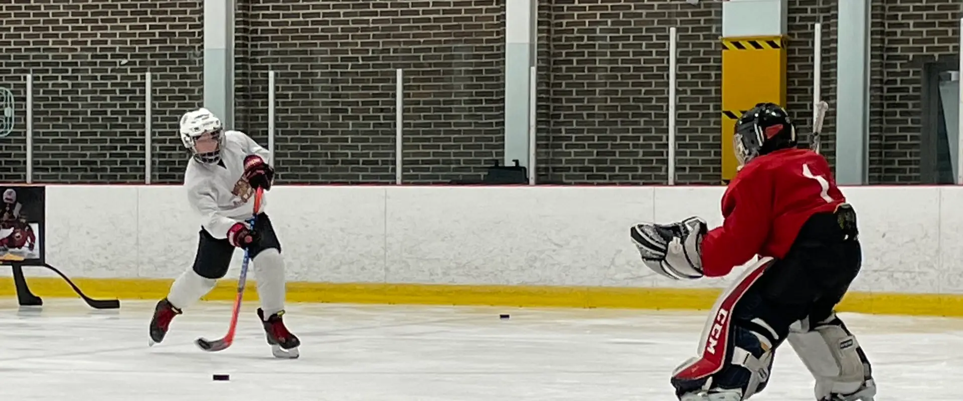 Hockey Sud Ouest - HSO