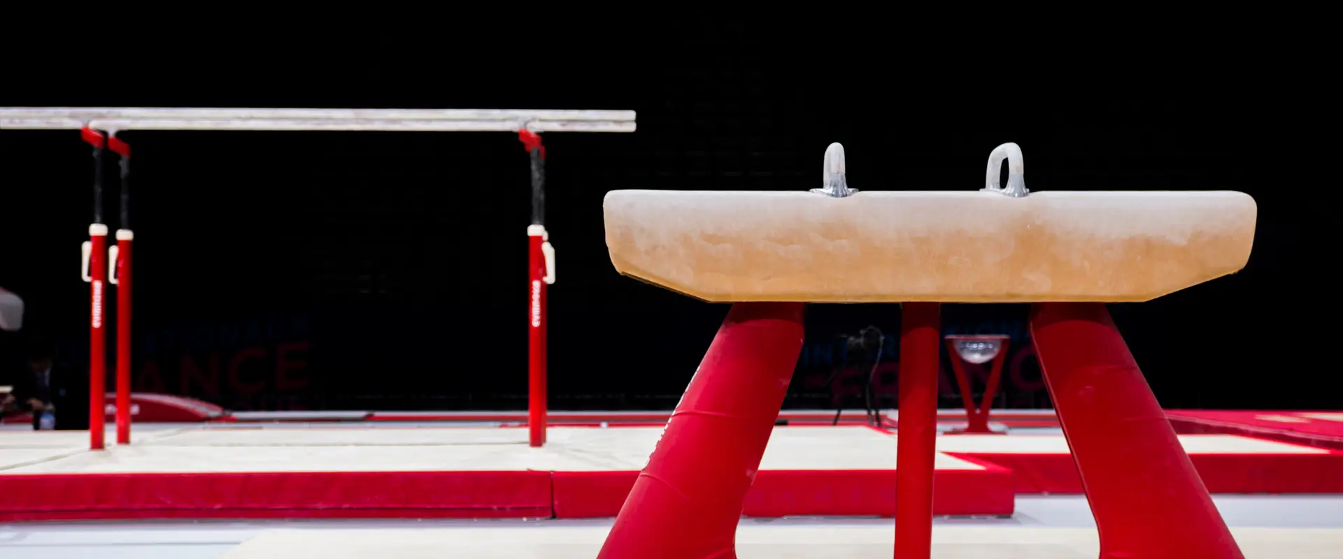 Committee Regional Ile De France De La Ffgym