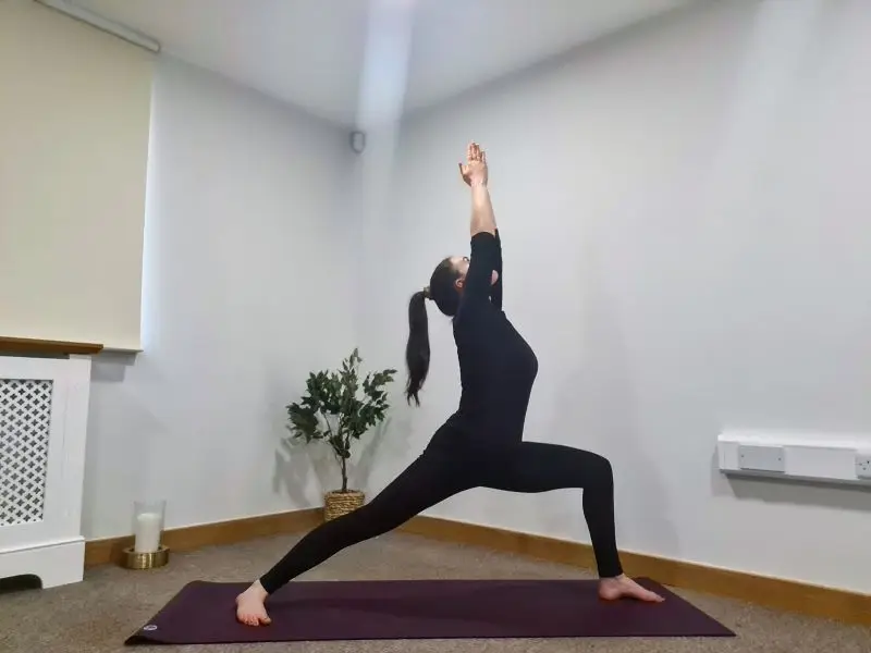 Himalaya Yoga Valley Midleton
