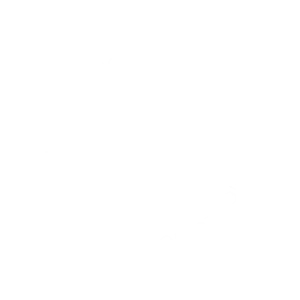 Bobbi's Pole Studio Gold