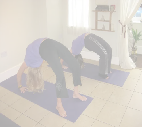 The Yoga Studio