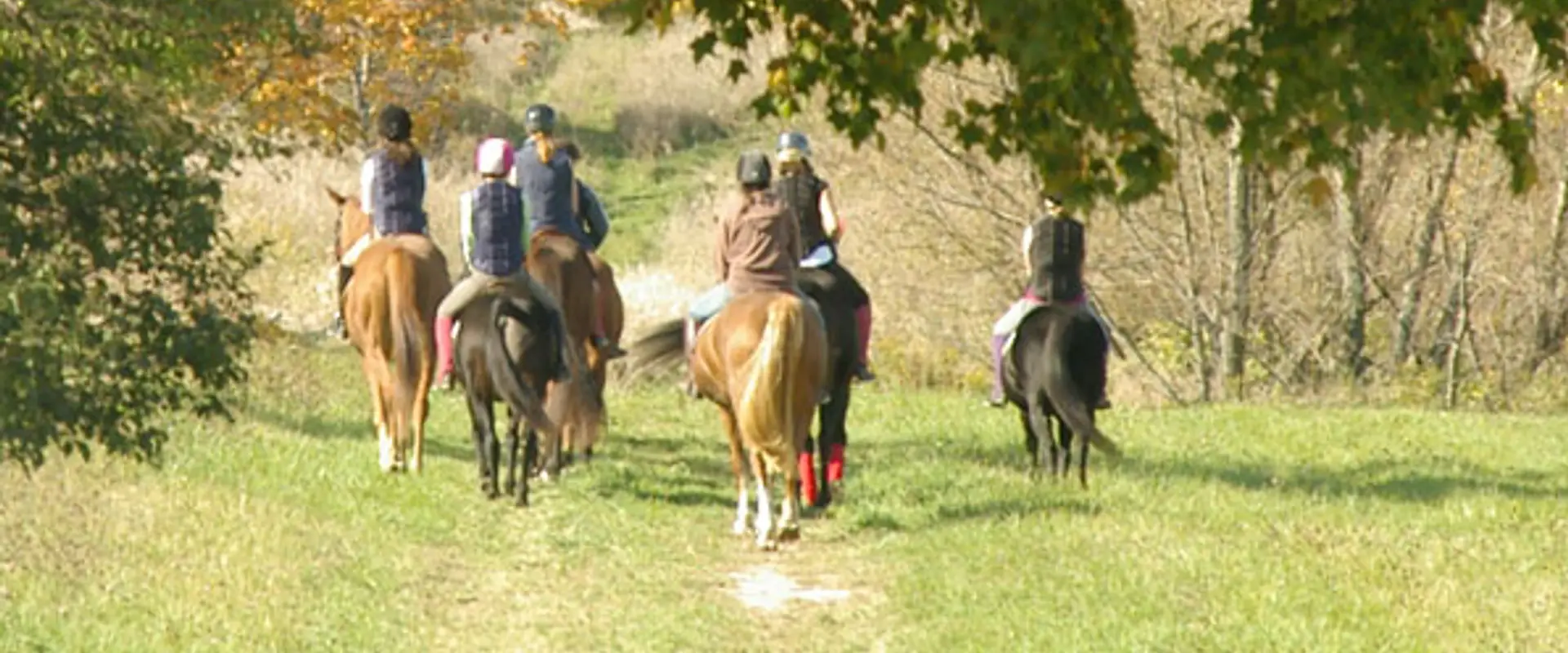 Horses at Heart