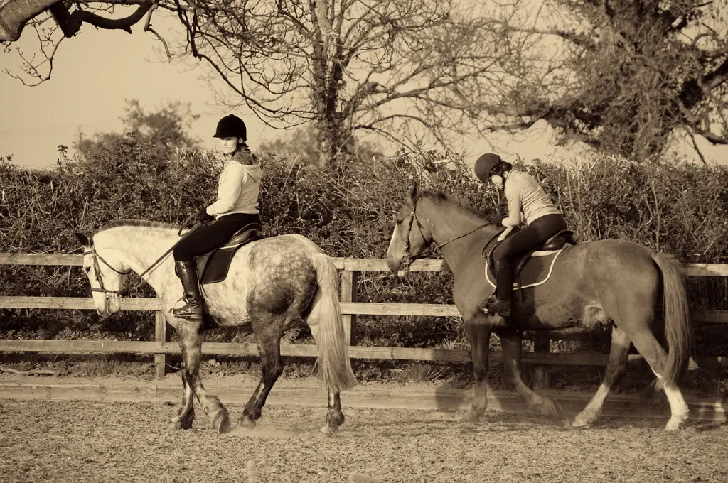 Clonfert Maynooth Equestrian Centre